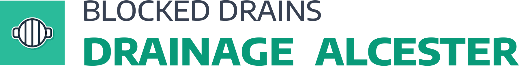website logo